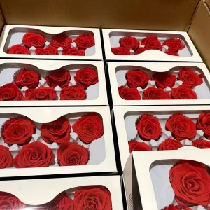 Eternal Dried Rose Heads 4-6cm Natural Flower Valentine’s DIY Environment-Friendly Long Lasting 3-5 Years Preserved Flower Head