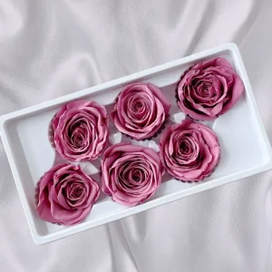 Eternal Dried Rose Heads Square Box Gift Valentine’s DIY Environment Friendly Long Lasting Preserved Flower