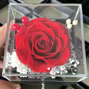 Eternal Flower Acrylic Jewelry Box Light Real Rose for Valentine’s Day Mother’s Day New Year Gift Drawer Accessory Included