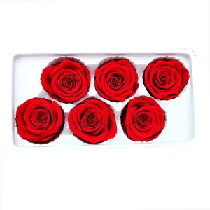 Eternal Long Lasting Glycerin Preserved Roses Over 35 Colors for Valentine’s Day DIY Gift Bouquets