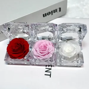 Eternal Red Pink Rose Small Ring Box for Valentine’s Day Mother’s Day Easter Gifts Long Lasting Elegant Decor
