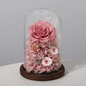 Eternal Rose Box with Led Natural Preserved Roses Flower in Glass Dome for Mothers Day Birthday Christmas Home Decor