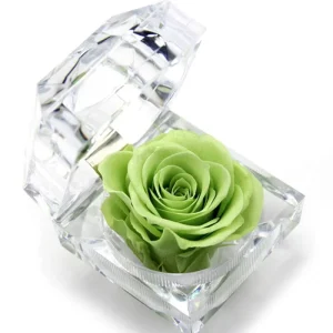 Eternal Rose Supplier Preserved Flowers Ring Jewelry in Acrylic Box