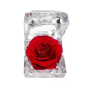 Europe Market Popular Preserved Roses in Mini Acrylic Ring Boxes for Valentine’s Day