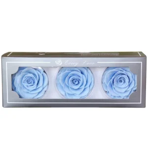 Every Love 7 8cm Eternal Preserved Rose Head Trending Preserved Rose Buds in Box for Rose Gift Box