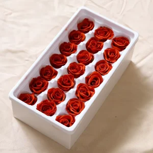 Every Love Class B 2 3 cm Eternal Flower Forever Preserved Flower Japan Rose Bud Mini for Wedding Decor