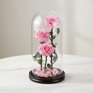 Every Love Vale Forever Preserved Roses in Glass Dome with Base for Wedding Gift