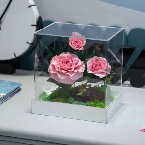 Every love New Product Preserved Rose Eternal Flower Camellia Preserved Rose Bouquet in Acrylic Box for Gift Home Decor