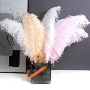 Factory Ostrich Big Feather Decoration 60 65cm Wedding Road Props Living Room Dining Vase Ornaments Dyed for Carnival
