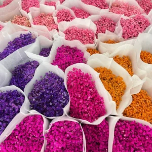 Factory Price Preserved Baby’s Breath Flower Natural Dried Gypsophila for Wedding Decor
