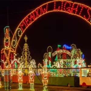 Festival Figure Light Show Customized LED Holiday Tree Iron Light Decoration for Zoo Park Graduation Ramadan Thanksgiving