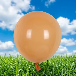 Festival Venue Shop Opening Decoration Thick Matte 12 Inch 2.8g Latex Balloons Custom Printable Balloon Garland Layout Supplies