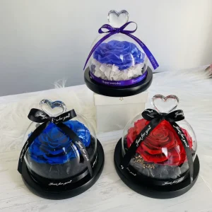 Floral Decors Preserved Rose in Glass Dome Immortal Flower Flowers Gift Box Back to School