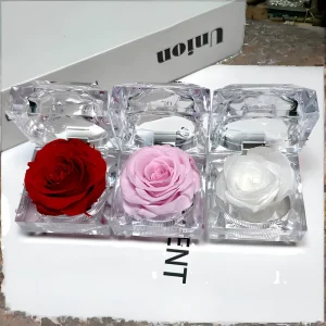 Flower Box Acrylic Gift Box Wedding Valentine’s Day Gift Single Preserved Rose