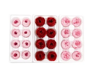 Forever Real Natural Preserved Rose Flower Peony A Grade Diameter 4-5 Cm Austin Rose Heads Roses for Decoration