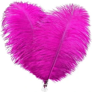Fuchsia 2pcs Polobag Ostrich Feathers for Party Carnival Home Wedding Centerpiece Xmas Vase Holiday Decor DIY Craft Floral