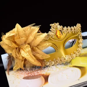 Funny Costume Cosplay Mask Venetian Mardi Gras Carnival Masquerade Mask Feather Party Mask for Party Holiday Supply Xmas Decor