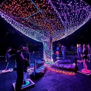 G27 Christmas LED Light Festoon LED String Decorative Lighting Outdoor Waterproof Christmas Tree Lights