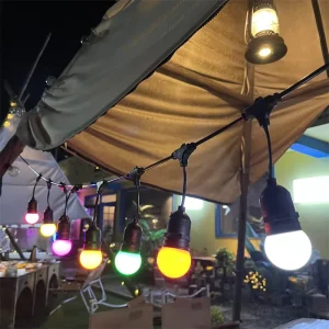 G45 RGB IP65 Outdoor LED Bulbs String Festoon Lights 10M-20M Festival Lighting