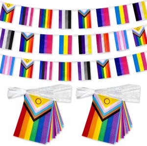 Gay Pride Flags String Flags LGBT Matching Colorful Eco Friendly Durable Rectangle Shape Polyester Flags Rainbow Party Festival