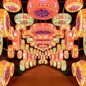 Giant Tree Shape LED Lanterns Outdoor Waterproof Iron Graduation Ramadan Christmas Garden Decorations