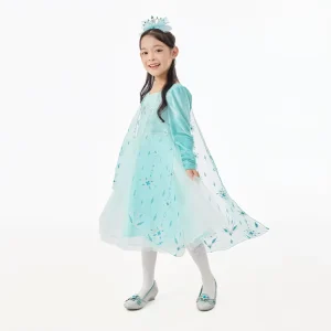 Girls Disney Princess Ice Queen Attire Snowflake Embroidery Custom Dimensions BSCI Approved TV Movie Costumes for