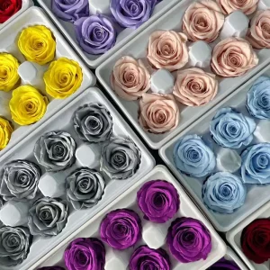 Grade A Big Head Preserved Rose 6 8 12 Heads High Quality Long Lasting 3 5 Years Decoration Day Day Valentine’s Day