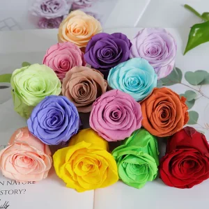 Grade a Eternal Life Preserved Rose Heads Gift Box Handmade Dried Flowers for Valentine’s Day Home Decor