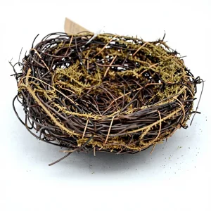 H&G Artificial Twig Bird’s Nest Miniature Round Wall Stickers or Hangings for Easter Graduation Home Decor All Ages
