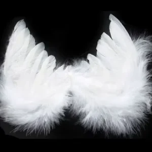 HY Fairy Feather Angel Wing for Christmas Gift Holiday Ornament Party Costume Cosplay Dance Carnival Halloween Decor