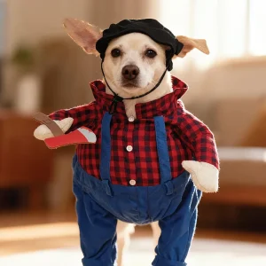 Halloween Custom Logo Funny Pet Clothes Dog Costume