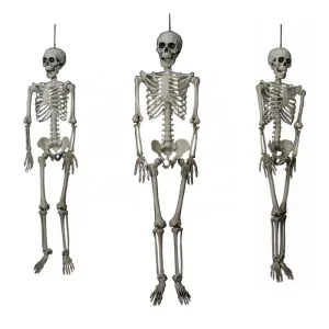 Halloween Decoration 36″ Hanging Skeleton Outdoor Indoor Props Haunted House Party Decor HFJ007 Wall Decorations Parties