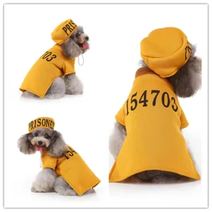 Halloween Dog Costume Orange Pumpkin Print Modern Eco Friendly Adjustable Drawstring Cloak Hat Kit Holiday Dress