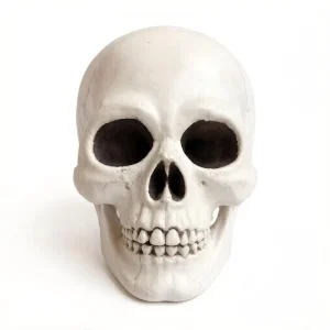 Halloween Horror Skeleton Head PVC Ornaments Reusable Home Decorations for Party Festival Graduation Thanksgiving