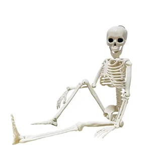 Halloween Skeleton 40x21x15cm Artificial Human Body Plastic Decoration Haunted House Holiday Scene Props