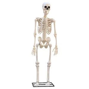 Halloween Z319 10-Foot 3-Meter Giant Skeleton Sensing Light Up Sound Playing Outdoor Standing Decoration