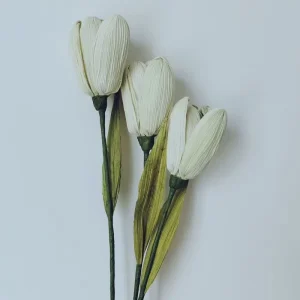 Handmade Modern Tulips Artificial Handwoven Corn Husk Flowers Bridal Mother’s Graduation Easter