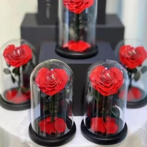 Heart Shaped Preserved Roses Flower in Glass Dome Eternal Rose Flower Glass Cover Christmas Natural Forever Roses Flowers Gift