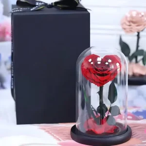 Hearte Shaped Preserved Rose Eternal Immortal Rose in Glass Dome Mother’s Day Gifts for Her