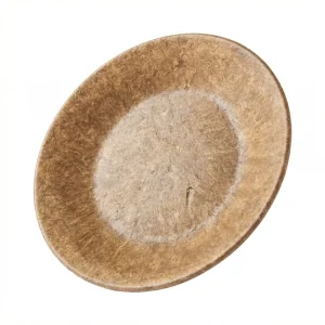 Heavy Duty 80g Biodegradable Wheat Straw Disposable Plates 100% Environment friendly Microwavable PFAS BPA Free for Parties
