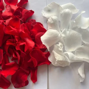 High Quality 100% Real Preserved White Red Rose Petals for Decoration Wedding Confetti Flower Girl Party’s Day Valentines Day
