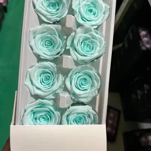 High Quality 4-5cm Preserved Roses Beautiful Rose Heads for Graduation Decorative Usage Natural Flowers Mother’s Day Christmas