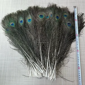 High Quality Natural 25 30cm Peacock Feathers Decorative Plumes for Stage Carnival DIY Craft Vase Ornament