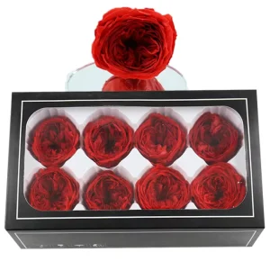 Hight Quality Preserved Austin Rose Head 8pcs in Box Forever Roses 4 5cm Eternal Flower Everlasting Roses