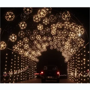 Holiday Lighting Display Christmas Lighting Show Project with Decoration String Light