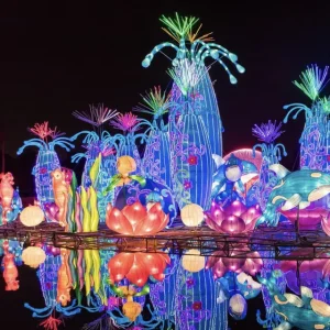 Holiday Lights Outdoor Costomized Shape LED Customized Decorative Display for Ramadan Thanksgiving Festival Light Show