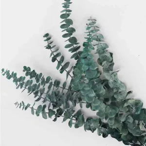 Home Decoration Preserved Eucalyptus Leaves Wedding Flowers Wedding Floral Arrangements