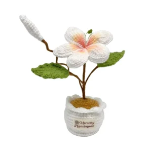 Homemade Crochet Knitted Artificial Frangipani Flowers Plants Handmade Crochet Potted Plant Office Decor Items
