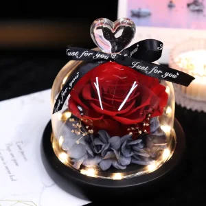 Hot Selling Preserved Flower Eternal Real Rose with LED Light Romantic Love Heart Glass Dome Decoration Ribbon Gift for Her