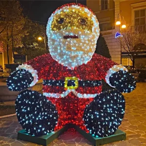 IP65 LED 3D 圣诞圣诞老人雪橇图案灯 户外节日装饰